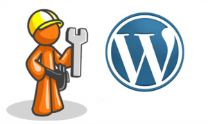 Wordpress developer